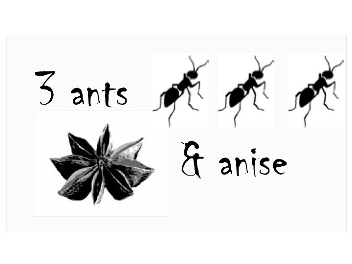 3 ants.jpg
